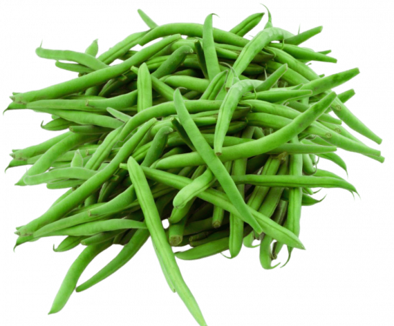 334480.5-haricots-verts-570x472-1.png